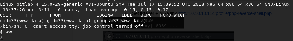 Reverse Shell Succeed
