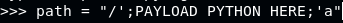 payload